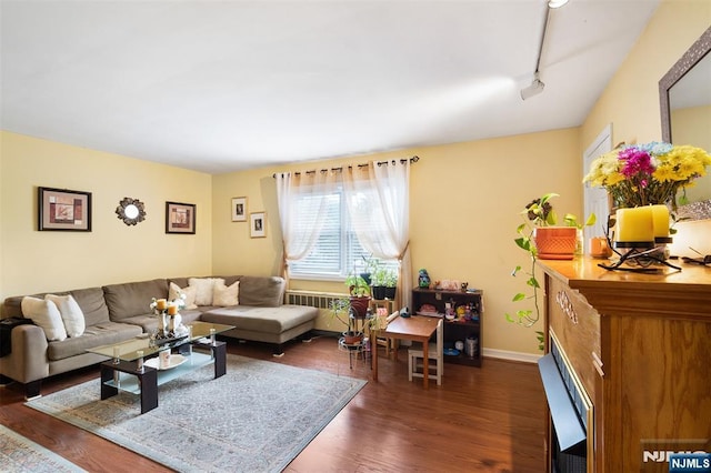 living room featuring rail lighting, dark wood-style flooring, and baseboards