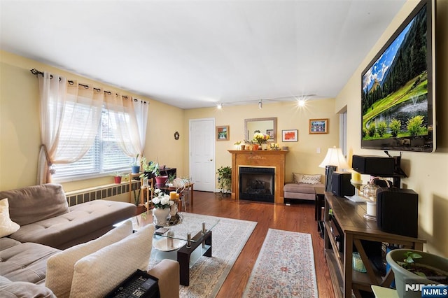 living area with a fireplace, wood finished floors, and radiator heating unit