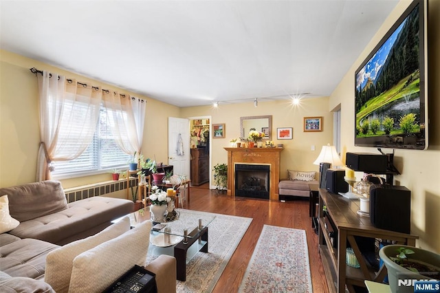 living area with a fireplace and wood finished floors