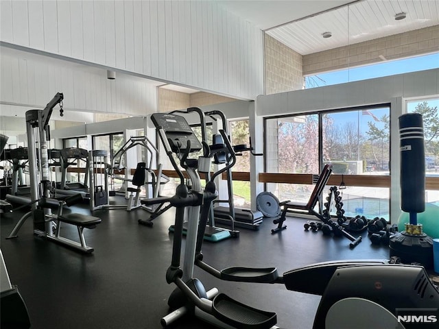exercise room featuring a high ceiling