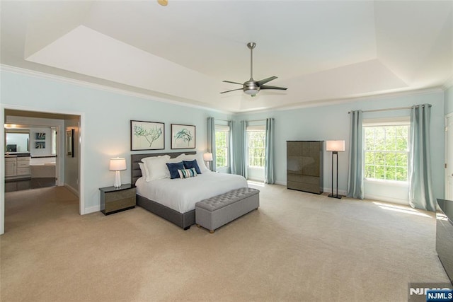 39 Crown View Ct, Sparta, NJ 07871 - bedroom featuring a raised ceiling, light colored carpet, crown molding, and multiple windows
