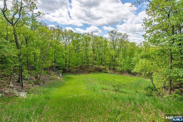 39 Crown View Ct, Sparta, NJ 07871 - view of yard featuring a forest view