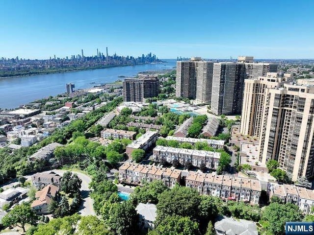 300 Winston Dr Unit 1817, Cliffside Park, NJ 07010 - view of urban area featuring a nearby body of water