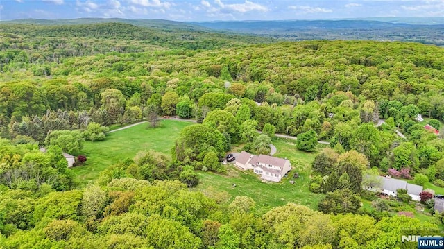 11 Deer Meadow Rd, Warwick, NY 10990 - drone / aerial view of a forest