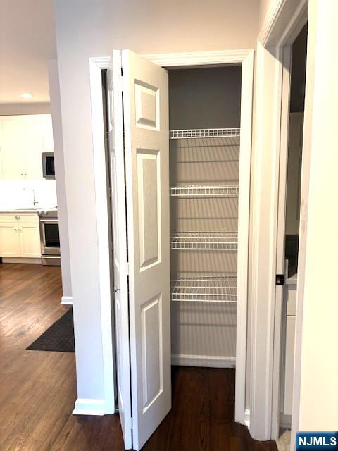 closet featuring a sink
