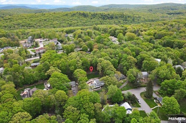 aerial view of a forest