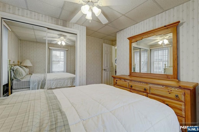 bedroom with wallpapered walls, a drop ceiling, and a ceiling fan