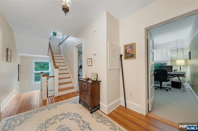 staircase with wood-type flooring and baseboards