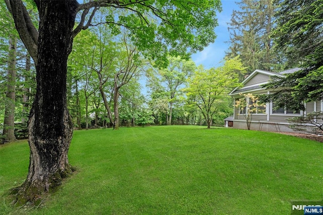 view of green lawn
