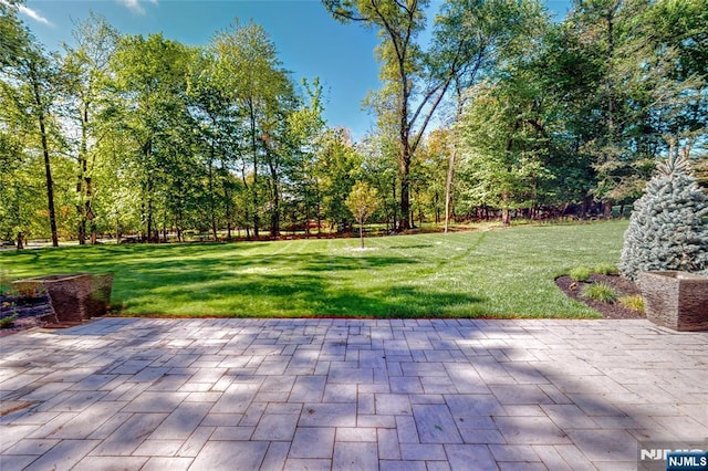 view of community featuring a lawn, a patio area, and view of scattered trees