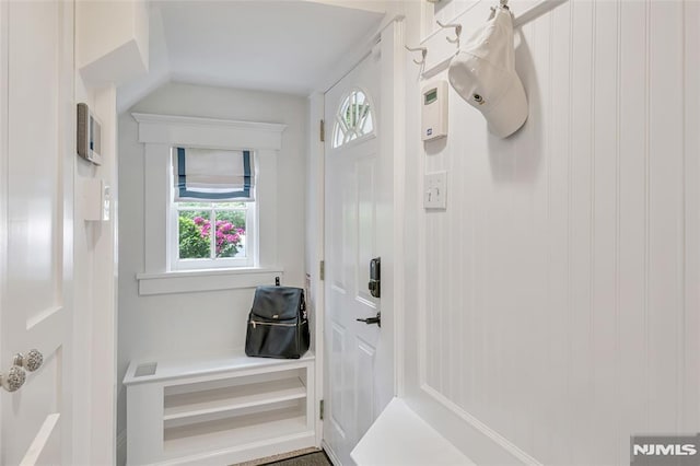 mudroom featuring healthy amount of natural light