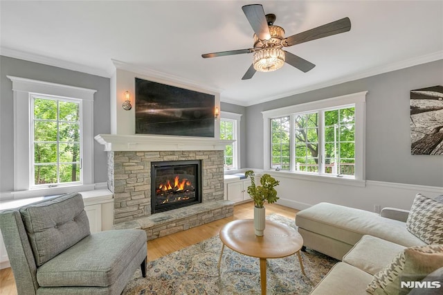 living room featuring ornamental molding, light wood finished floors, a fireplace, and ceiling fan