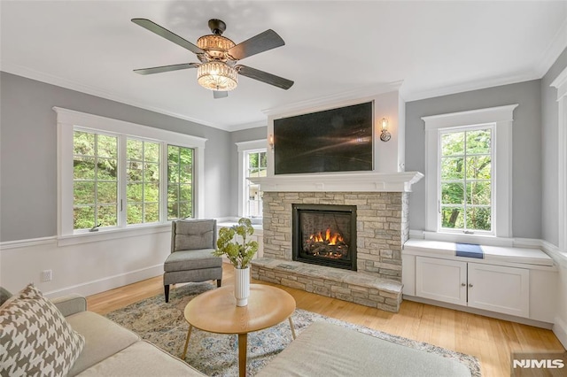 living area featuring ceiling fan, healthy amount of natural light, a fireplace, ornamental molding, and light wood-style floors