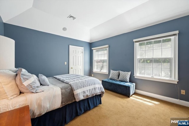 15 Hamilton Rd, Morristown Town, NJ 07960 - carpeted bedroom featuring multiple windows, baseboards, and vaulted ceiling