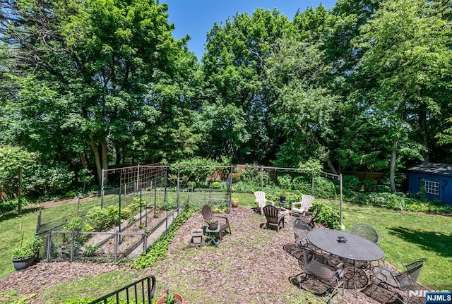 view of yard featuring a garden