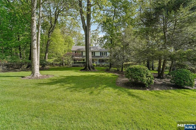 view of green lawn