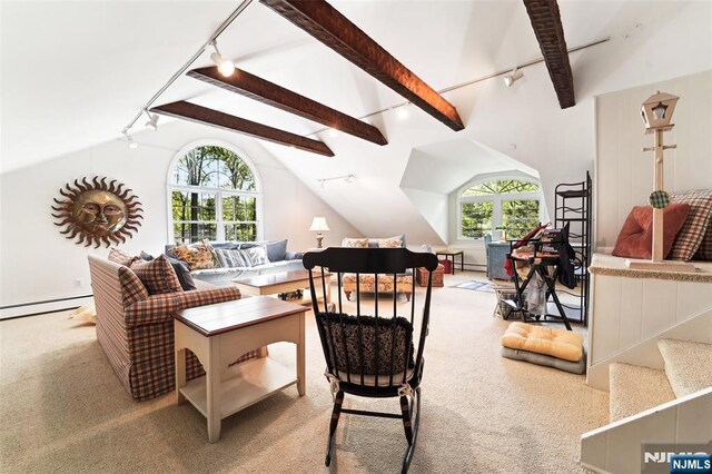 living room featuring rail lighting, baseboard heating, and carpet flooring