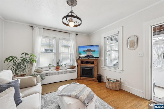 living room featuring plenty of natural light, radiator heating unit, wood finished floors, ornamental molding, and a chandelier
