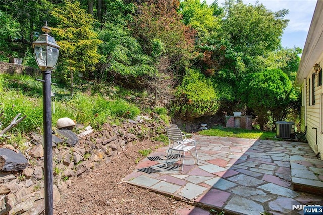 view of yard featuring central air condition unit and a patio area
