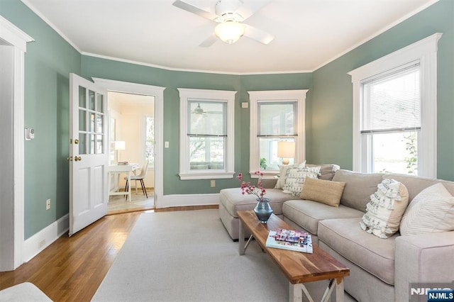 living room with wood finished floors, a ceiling fan, healthy amount of natural light, and ornamental molding