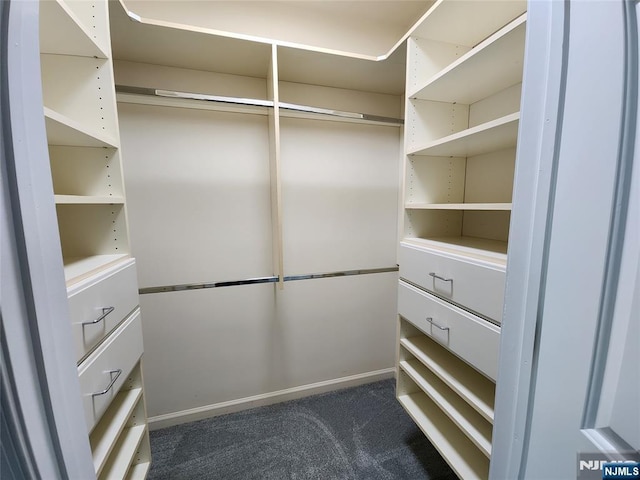 326 The Promenade Unit 326, Edgewater, NJ 07020 - spacious closet featuring dark carpet