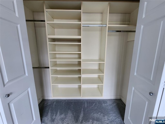 326 The Promenade Unit 326, Edgewater, NJ 07020 - view of closet