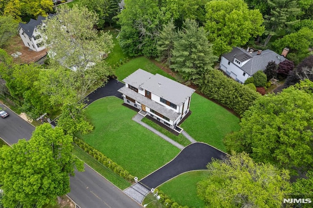 bird's eye view