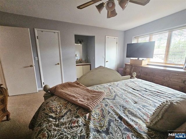 20 Eagle Dr, Hampton, NJ 07860 - bedroom with carpet, ceiling fan, and ensuite bath