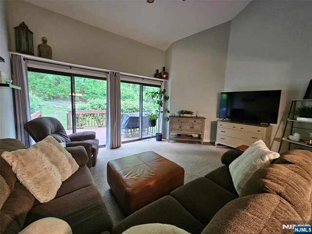 20 Eagle Dr, Hampton, NJ 07860 - carpeted living room with lofted ceiling
