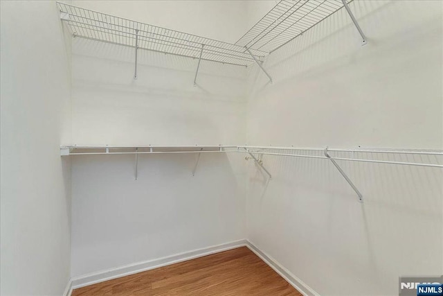 walk in closet featuring wood finished floors