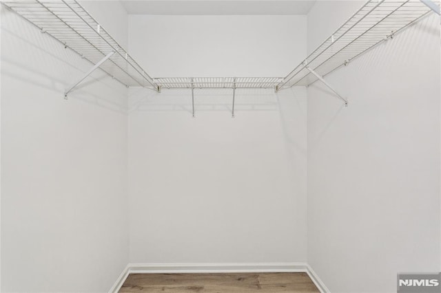 52 Straton Ct Unit 1006, Sayreville, NJ 08859 - walk in closet with wood finished floors