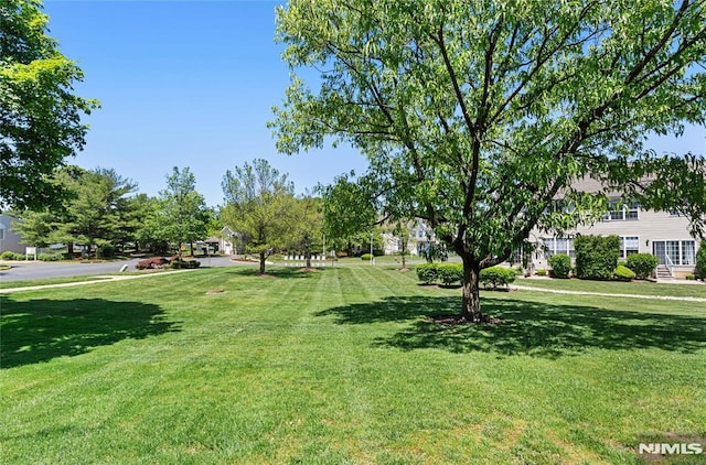 52 Straton Ct Unit 1006, Sayreville, NJ 08859 - view of grassy yard
