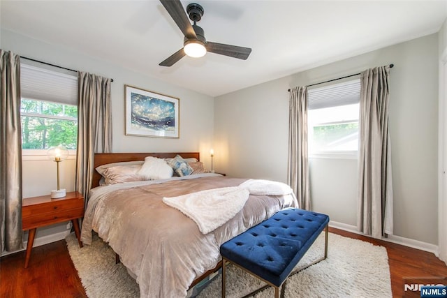 bedroom featuring multiple windows, dark wood finished floors, and baseboards