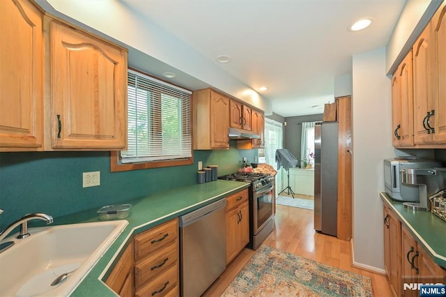 kitchen with appliances with stainless steel finishes, a sink, light wood finished floors, under cabinet range hood, and recessed lighting