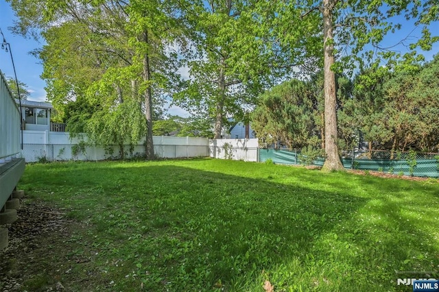 view of yard