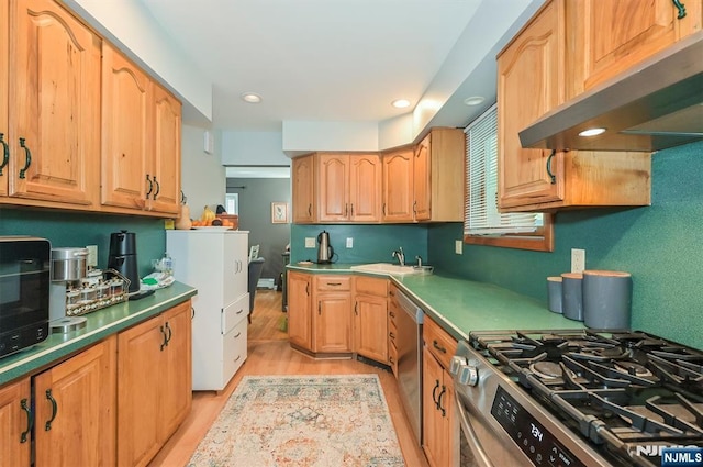 kitchen featuring under cabinet range hood, appliances with stainless steel finishes, a sink, light wood-type flooring, and recessed lighting