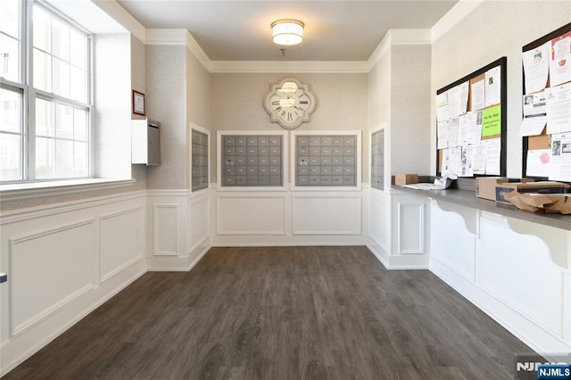 view of community featuring a decorative wall, mail area, ornamental molding, and a wainscoted wall