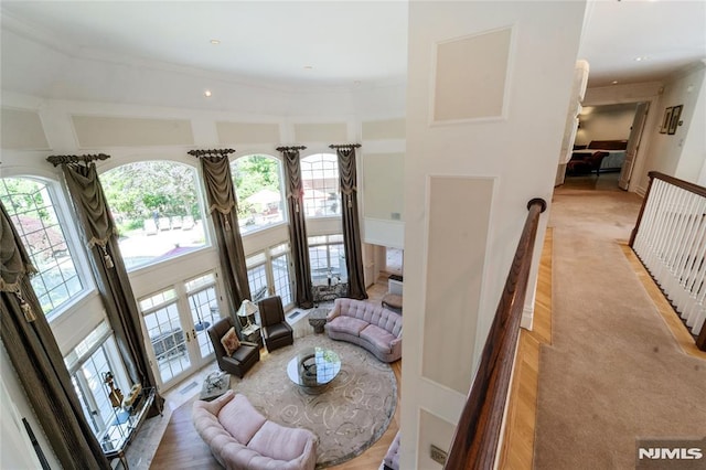 14 Stewart Ct, Old Tappan, NJ 07675 - living room with healthy amount of natural light, light carpet, a towering ceiling, and crown molding
