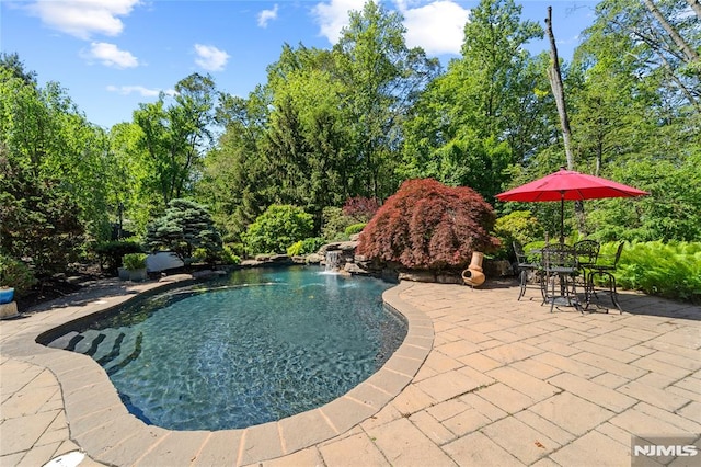 14 Stewart Ct, Old Tappan, NJ 07675 - swimming pool with a patio