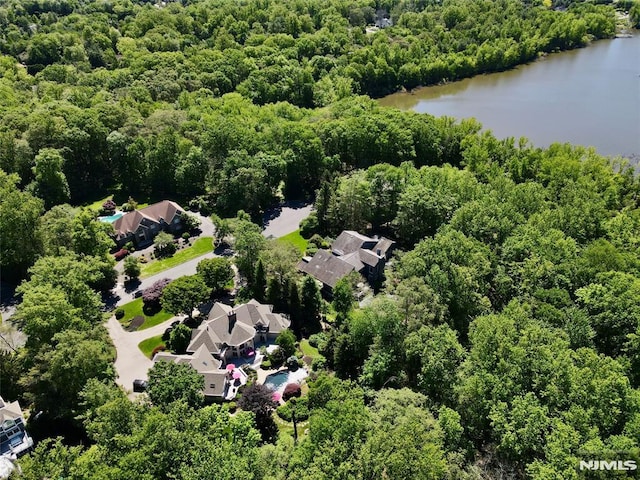 14 Stewart Ct, Old Tappan, NJ 07675 - bird's eye view of a forest and a large body of water