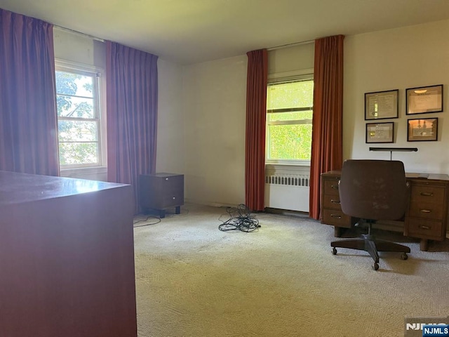384 Audubon Rd, Englewood, NJ 07631 - office area featuring radiator heating unit, carpet flooring, and a wood stove