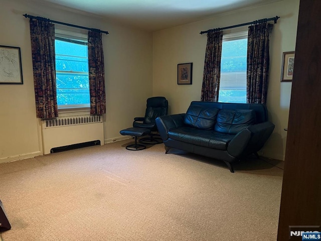 384 Audubon Rd, Englewood, NJ 07631 - living area with radiator, carpet, plenty of natural light, and baseboards