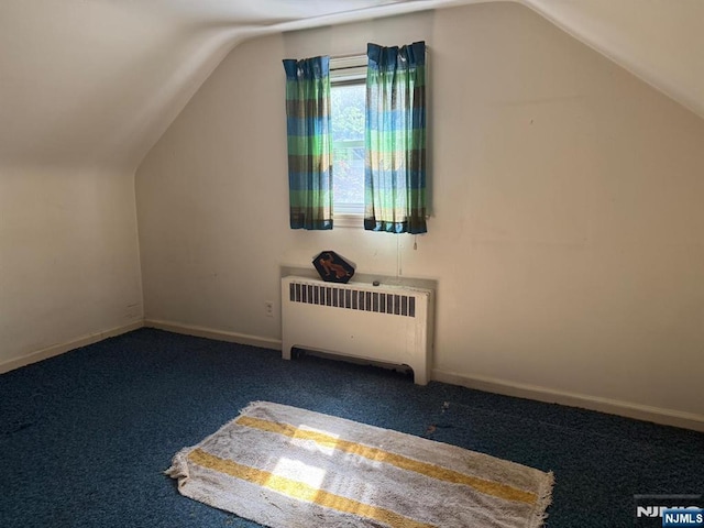 384 Audubon Rd, Englewood, NJ 07631 - additional living space featuring radiator heating unit, lofted ceiling, carpet floors, and baseboards