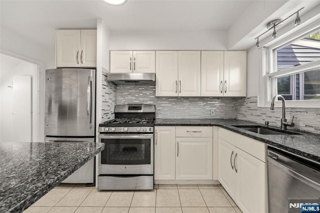 7 Edgewater Pl, Edgewater, NJ 07020 - kitchen featuring stainless steel appliances, a sink, under cabinet range hood, light tile patterned floors, and white cabinetry