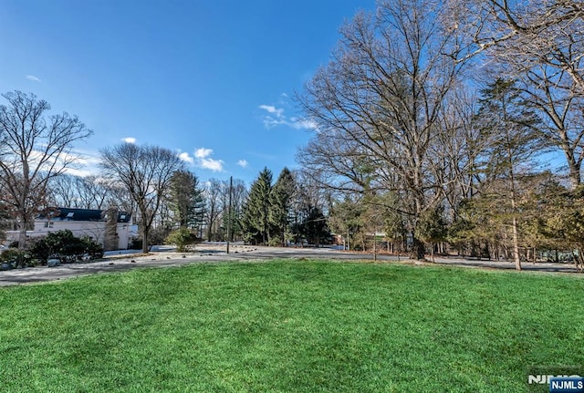 32 Brookside Dr, Upper Saddle River, NJ 07458 - view of green lawn