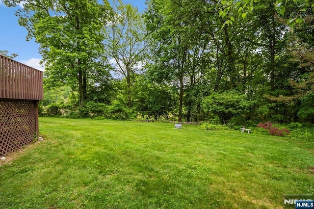 35 Mccosh Rd, Clifton, NJ 07043 - view of grassy yard