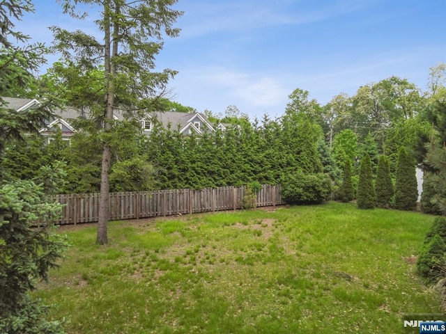 41-21 Dunkerhook Rd, Fair Lawn, NJ 07410 - view of yard