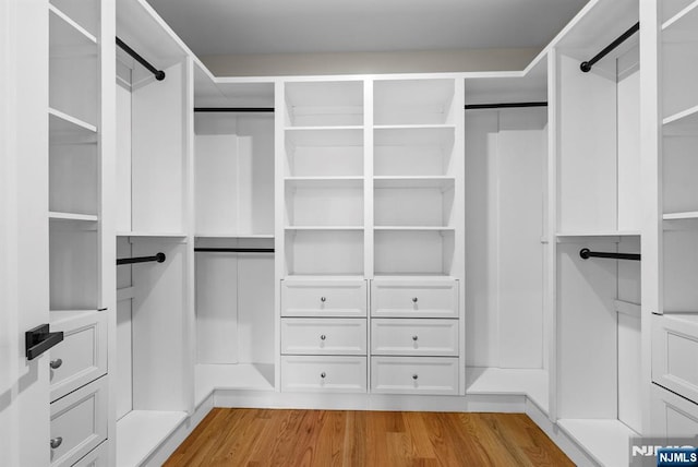 spacious closet featuring light wood finished floors