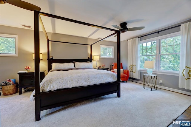 155 W Clinton Ave, Tenafly, NJ 07670 - bedroom featuring multiple windows and carpet flooring