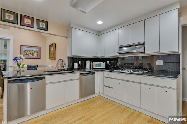 526 Rutland Ave, Teaneck, NJ 07666 - kitchen with appliances with stainless steel finishes, under cabinet range hood, a sink, light wood-style floors, and decorative backsplash